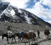 Trekking in India, Trekking in Ladakh, Trekking Tour India