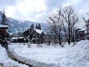 Manali Packages Start From 6490/- Call 09811555716