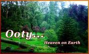 Mysore to Ooty Tours, Mysore to Ooty Side Seeing, Mysore to Ooty Gradens