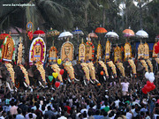 Devi Travels Mysore, Mysore to Munnar, Vythiri, Marari Beach Packages.  