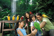 Jurong Bird Park  by Dpauls - Unforgettable experience 