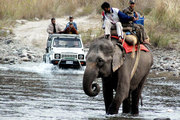 Dhikala - well known destinations in Jim Corbett