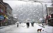 Enjoy Summer Vacation in Manali