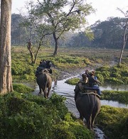 Jaldapara Trip,  the Best Way to Explore the Sanctuary