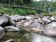 Enjoyable Trek Around Downhill at Rocky Island in Dooars Forests