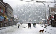 Shimla Manali Packages