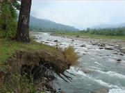 Affordable Rainforest Accommodations of Dooars Trip on this Puja 2013