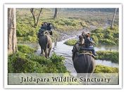 Jaldapara Wildlife Sanctuary Is a Haven for Wildlife Such As