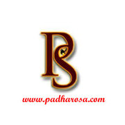 udaipur travel agents rajasthan tour operators PADHARO SA HOLIDAYS