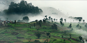 PONDICHERRY TO KODAIKANAL TOUR 2 NIGHTS 3 DAYS 