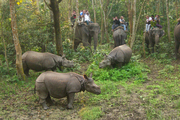 Enjoy Jungle Safari in Dooars