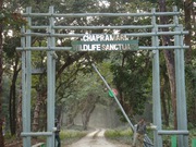 Enjoy Wildlife Tour at Chapramari Wildlife Sanctuary