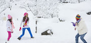 3N/4D Manali Tour Packages Holi Special @ Rs.5160/- Only