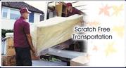 Packers & Movers services in Noida