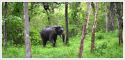 Kodagu Tourism, Coorg Tourist map,  Coorg Attractions