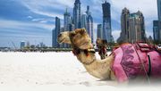 Cheap Dubai Tour Packages from Delhi India