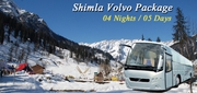 Shimla Volvo Tour Packages 2015 from Delhi