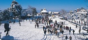 best tour operators in shimla