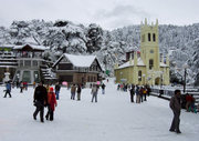 tour operator in shimla