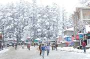 Manali Honeymoon Packages