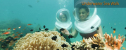 Andaman Islands & Havelock Island Tour packages, Andaman Tours