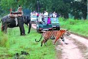 Luxury hotels and resorts in Jim corbett national park- Solluna Resort