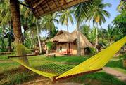 Kerala Luxury Tour | Tour Packages|