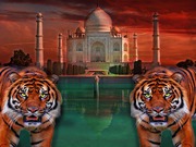 Taj Mahal with Tiger Tour