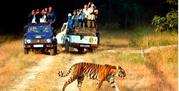 Jim Corbett Safari Booking