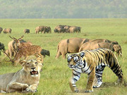 Weekend Holiday trip Jim Corbett park