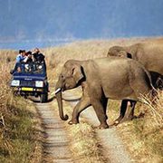 7.	Delhi-Sariska National Park Weekend Tour