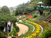 Mysore – Coorg – Ooty – Kodaikanal 5 Nights / 6 days Tour Package from