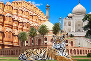 Golden Triangle Tiger Safari