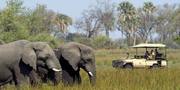 Botswana 7 Days Luxury Safari Tour Holiday Packages