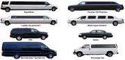 Limousine car rental