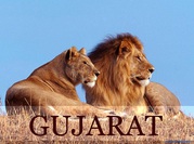 Gujarat tour packages,  Travel booking gujarat