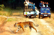 Jaipur Tour and Travels,  