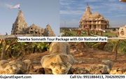 6 Days / 5 Nights Dwarka Somnath Tour Package with Gir National Park