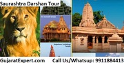 Gujarat Wildlife Tour Safari Packages