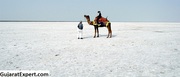 Rann Utsav - Amazing Kutch Rann Utsav Facts,  Gujarat Expert