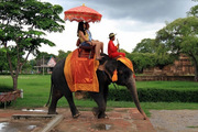 Elephant Ride | Elephant Safari In Jaipur,  Amer India