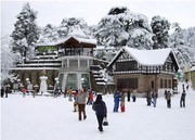 Muskan Holidays Shimla Packages cheap flights 