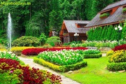 Book Bangalore Mysore ooty Package