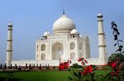 SAME DAY AGRA TOUR ( Wonder of the world Tajmahal Trip )