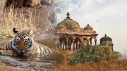 Enjoy Pleasant Journey Of Golden Triangle Of India