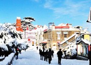 Shimla Tour Packages