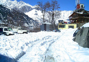 Best Shimla Manali Tour Packages