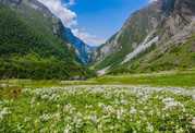 VALLEY OF FLOWERS TREK TOUR 2019