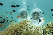 Explore Underwater Magic By Experiencing Sea Walk In Andaman