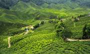 Ooty Tour Packages